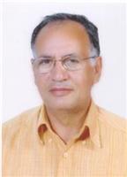 Prof. Zakaria A. El-haddad